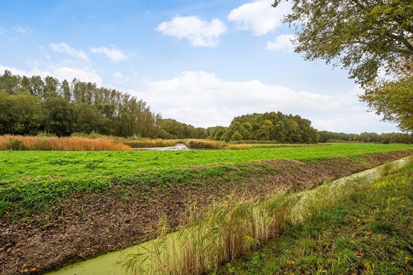 Foto - Te koop: Buizerdlaan 127, 2623 JR Delft